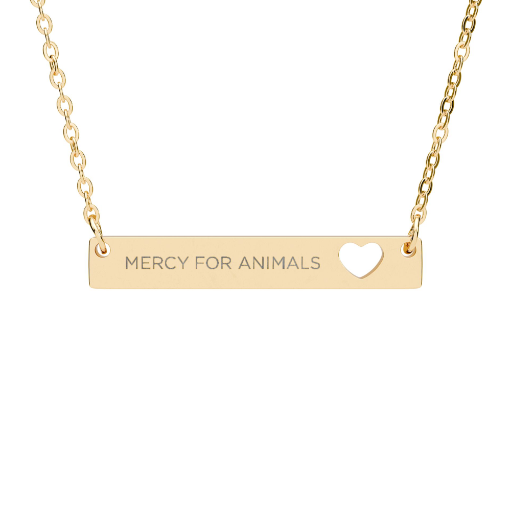 Mercy For Animals Heart Bar Necklace