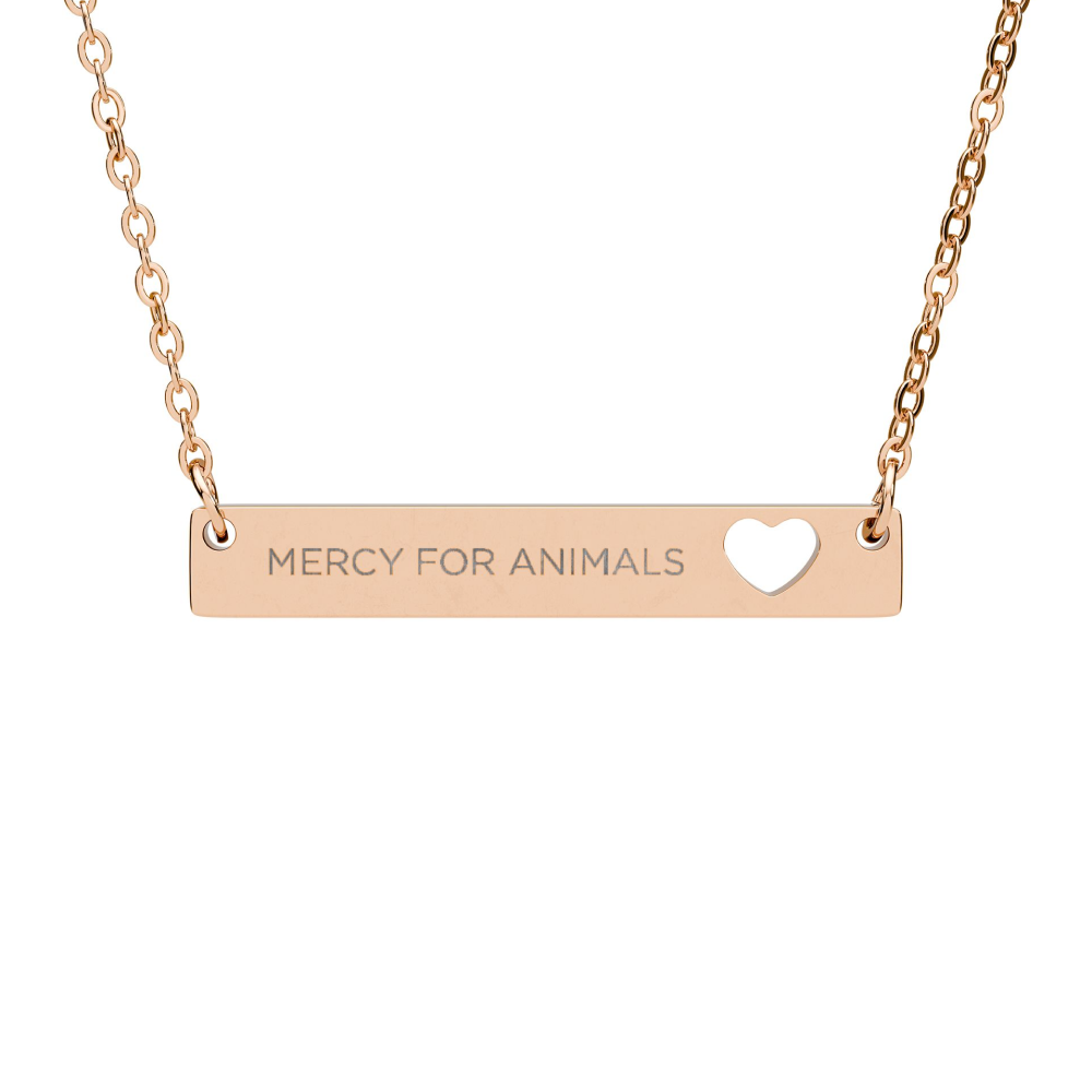 Mercy For Animals Heart Bar Necklace