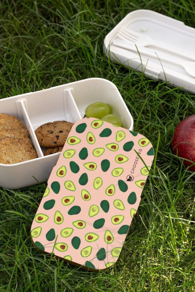 Avocado Bento Lunch Box | ShopMFA.com
