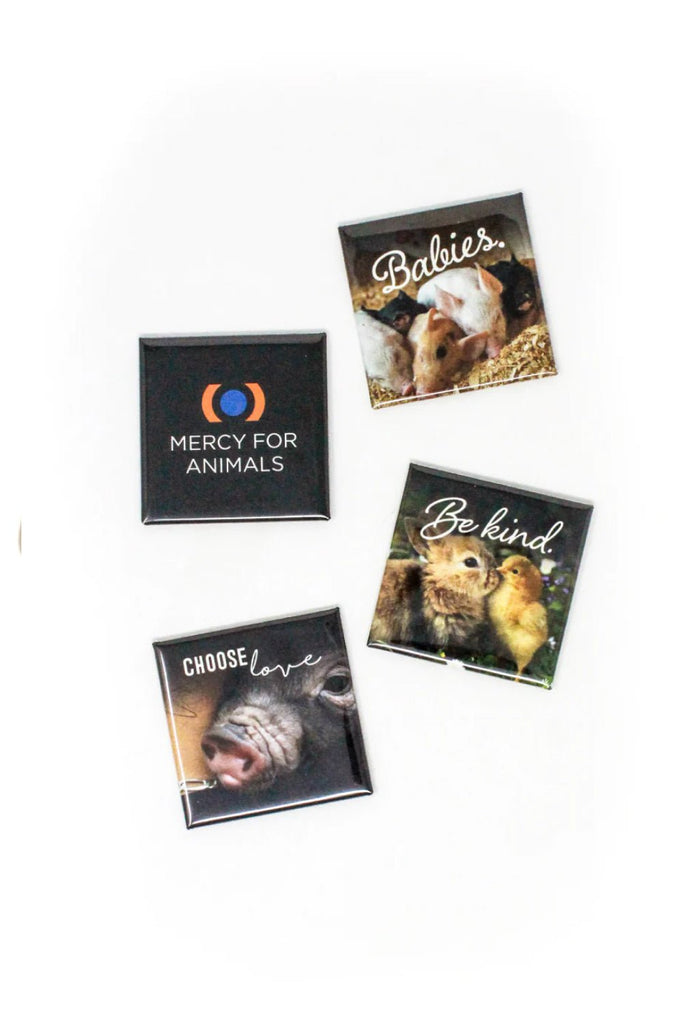 Compassion Magnet Pack | ShopMFA.com