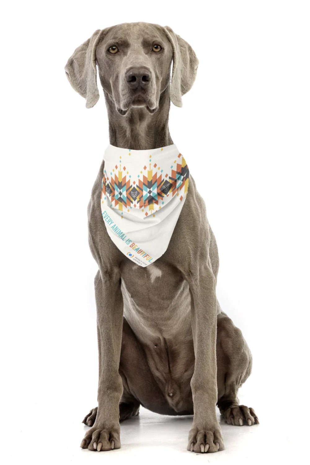 Desert Compassion Animal Bandana | ShopMFA.com