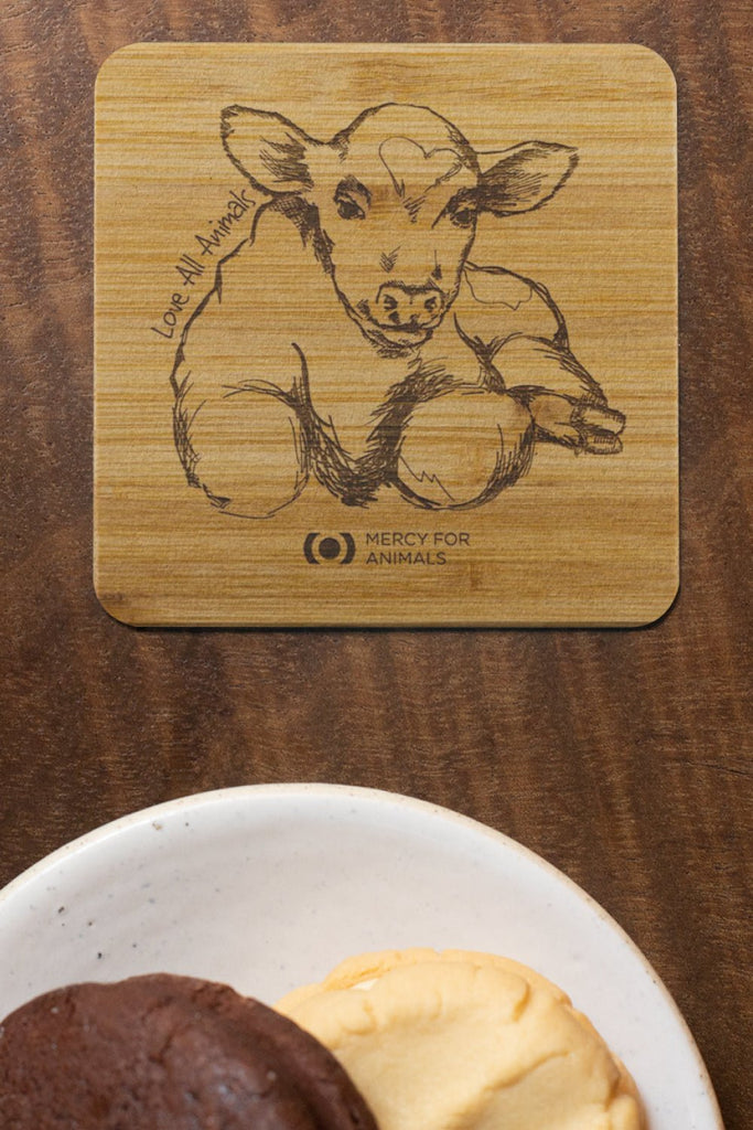 ‘Love All Animals’ Coaster Set | ShopMFA.com