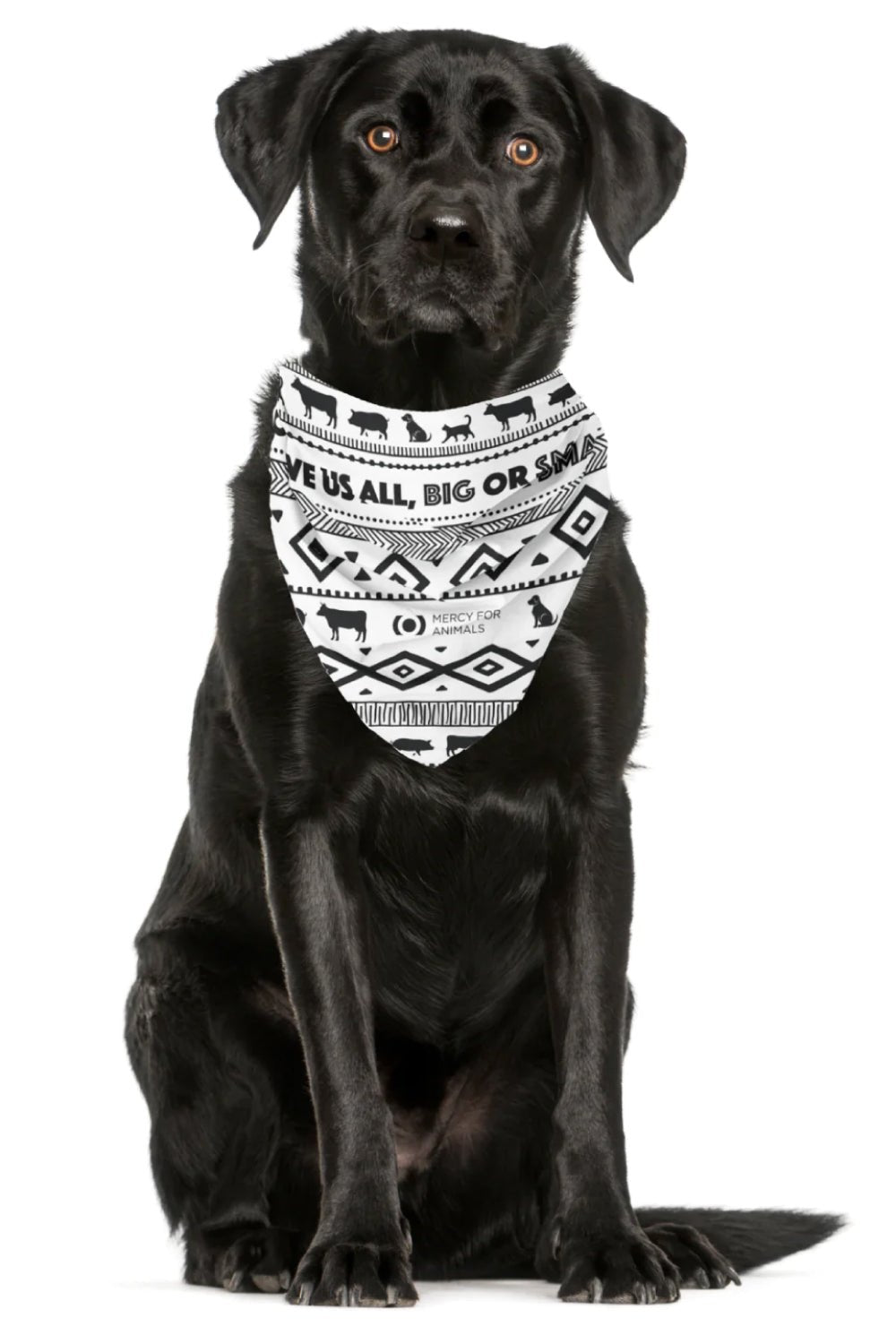 ‘Love Us All’ Animal Bandana | ShopMFA.com