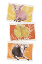 Postcard Pack, Calf | ShopMFA.com